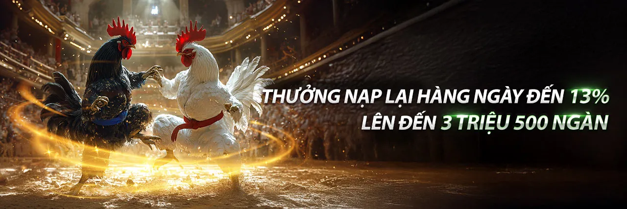 Hình ảnh đá gà trực tuyến j9bet khuyến mãi